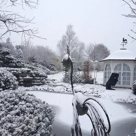 Bb Huetter 4* 메체데